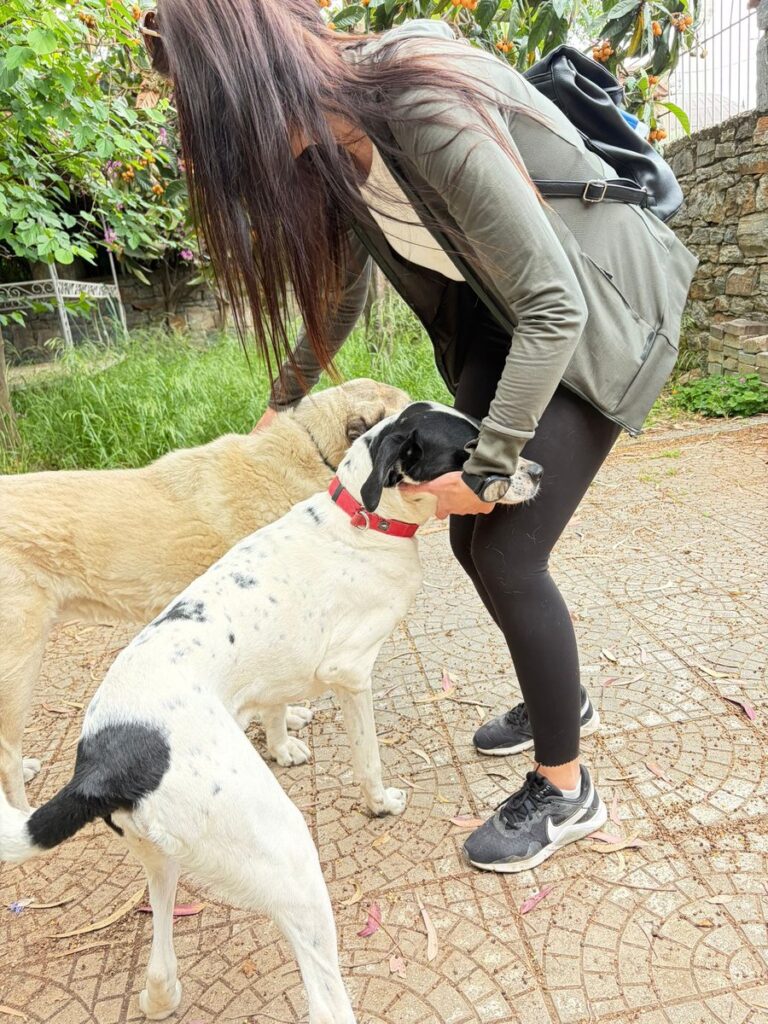 Wiedersehen mit Charlie nach der Operation
