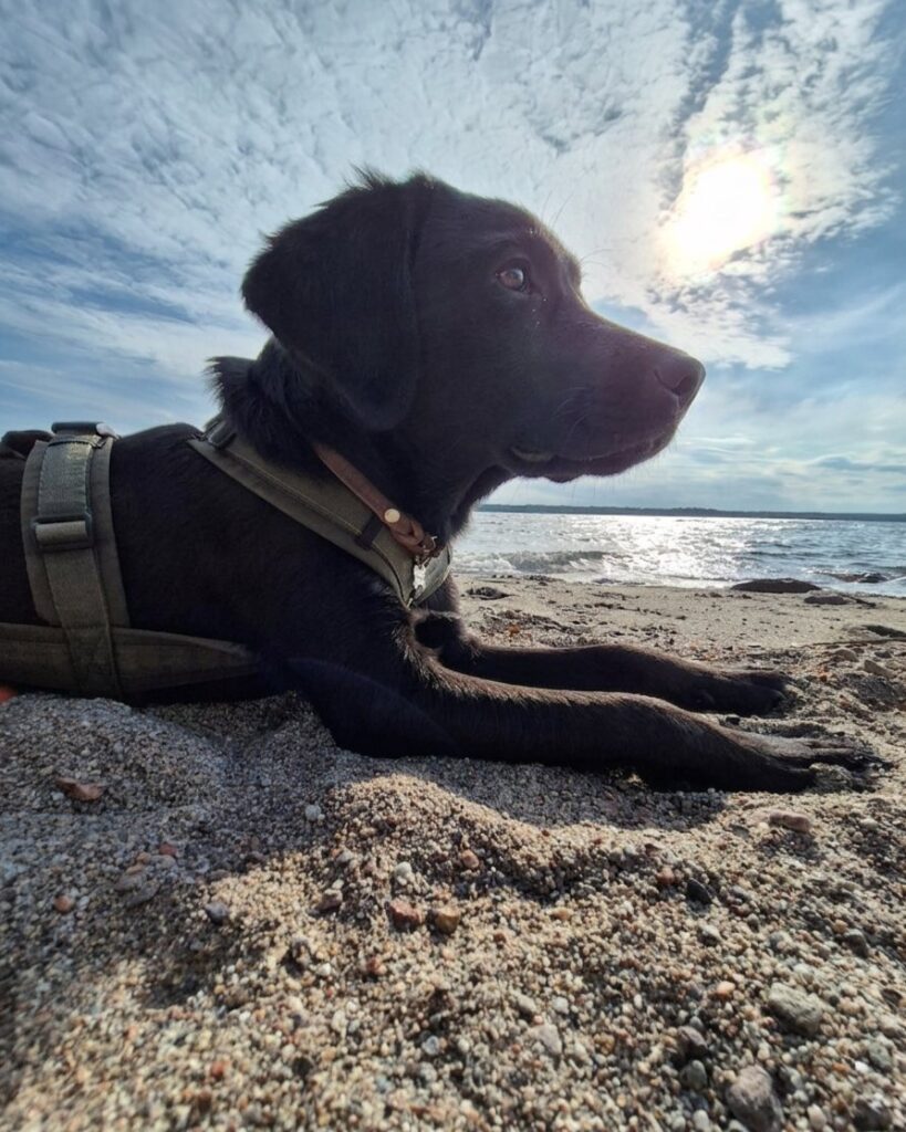 Cooper am Meer