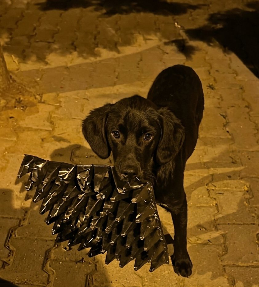 Cooper mit seinem im Müll gefundenen Spielzeug