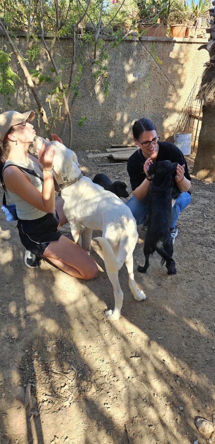Nadine Bromberg und Jessica Marseille schmusen mit Hunden bei einem Besuch vor Ort